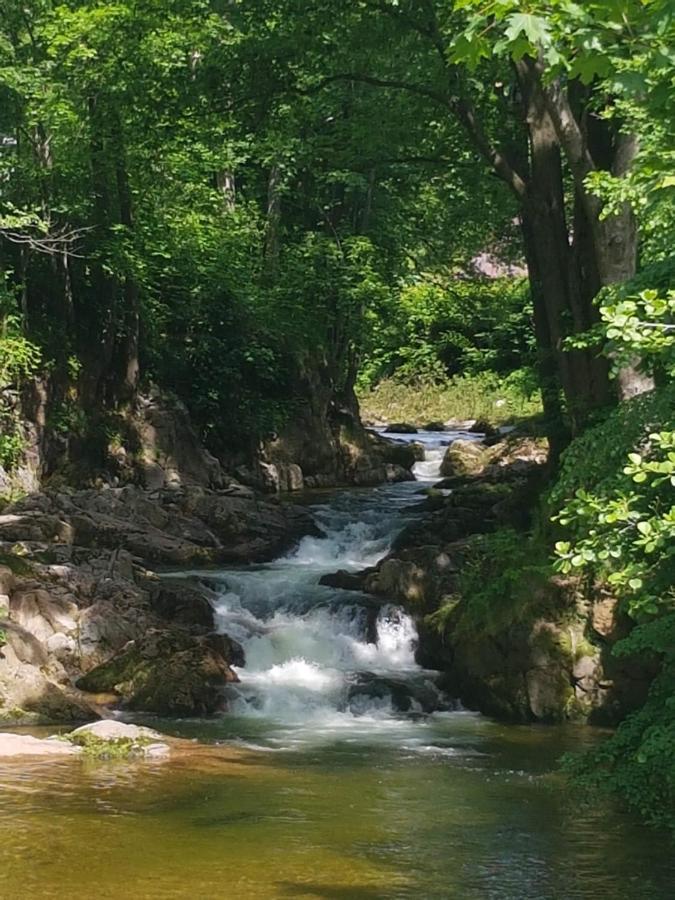 Hejnice Retreat 외부 사진