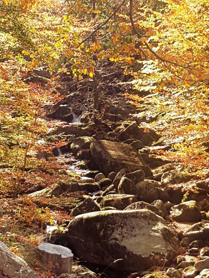 Hejnice Retreat 외부 사진
